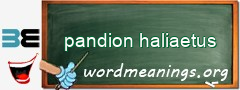 WordMeaning blackboard for pandion haliaetus